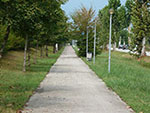 pista ciclo pedonale lungo Statale Alemagna – Conegliano (TV)